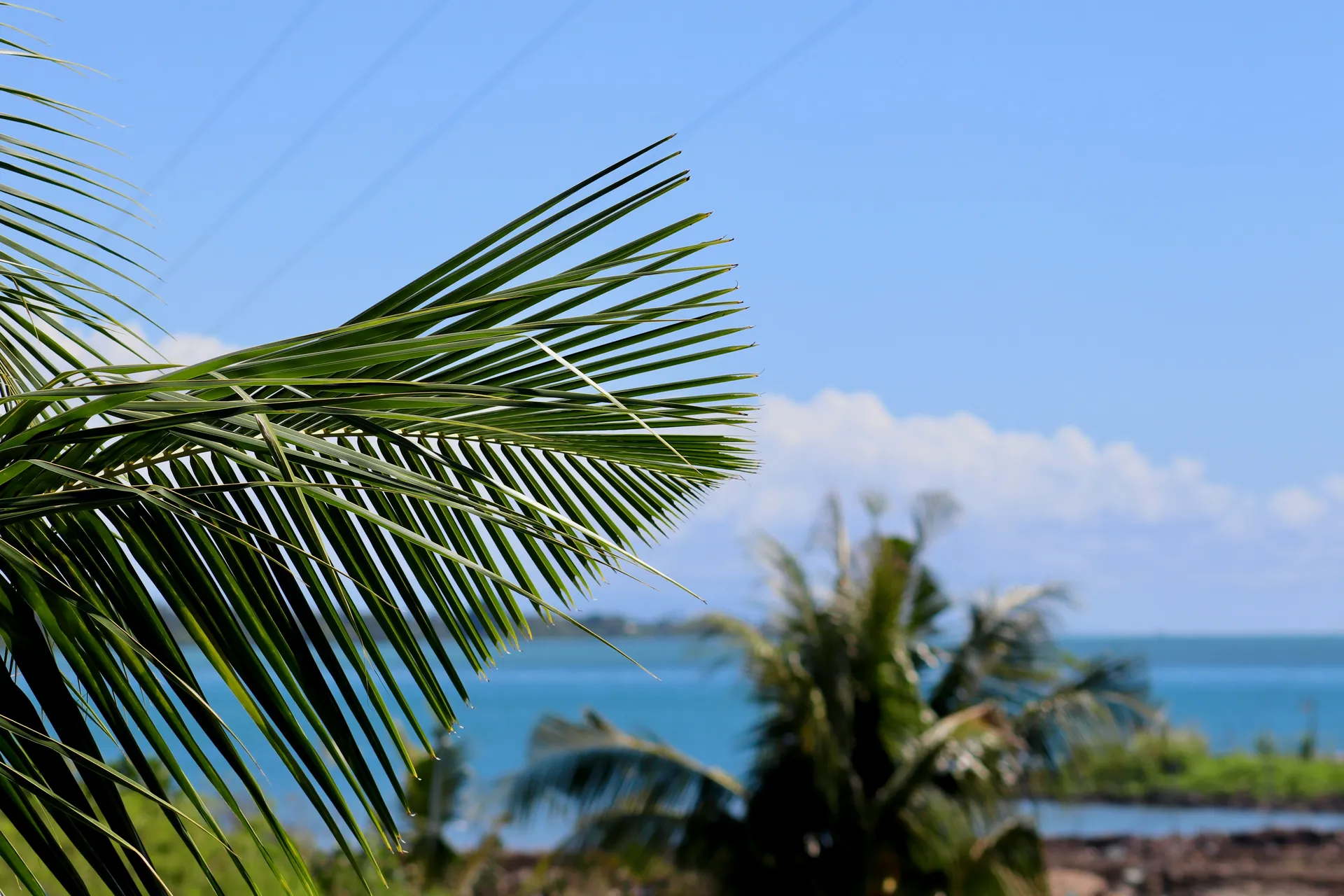 Amerikanisch-Samoa Packliste