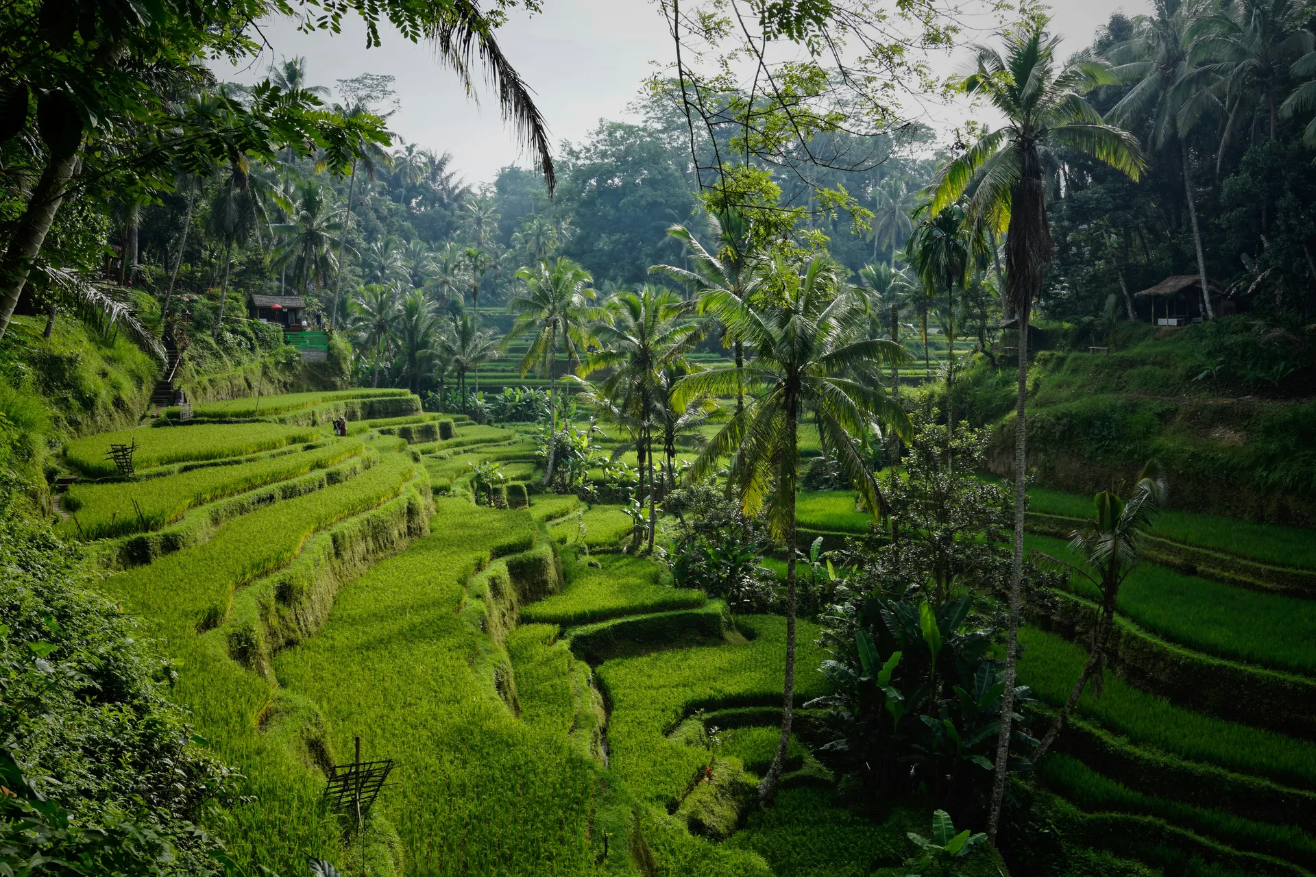 bali-packing-list