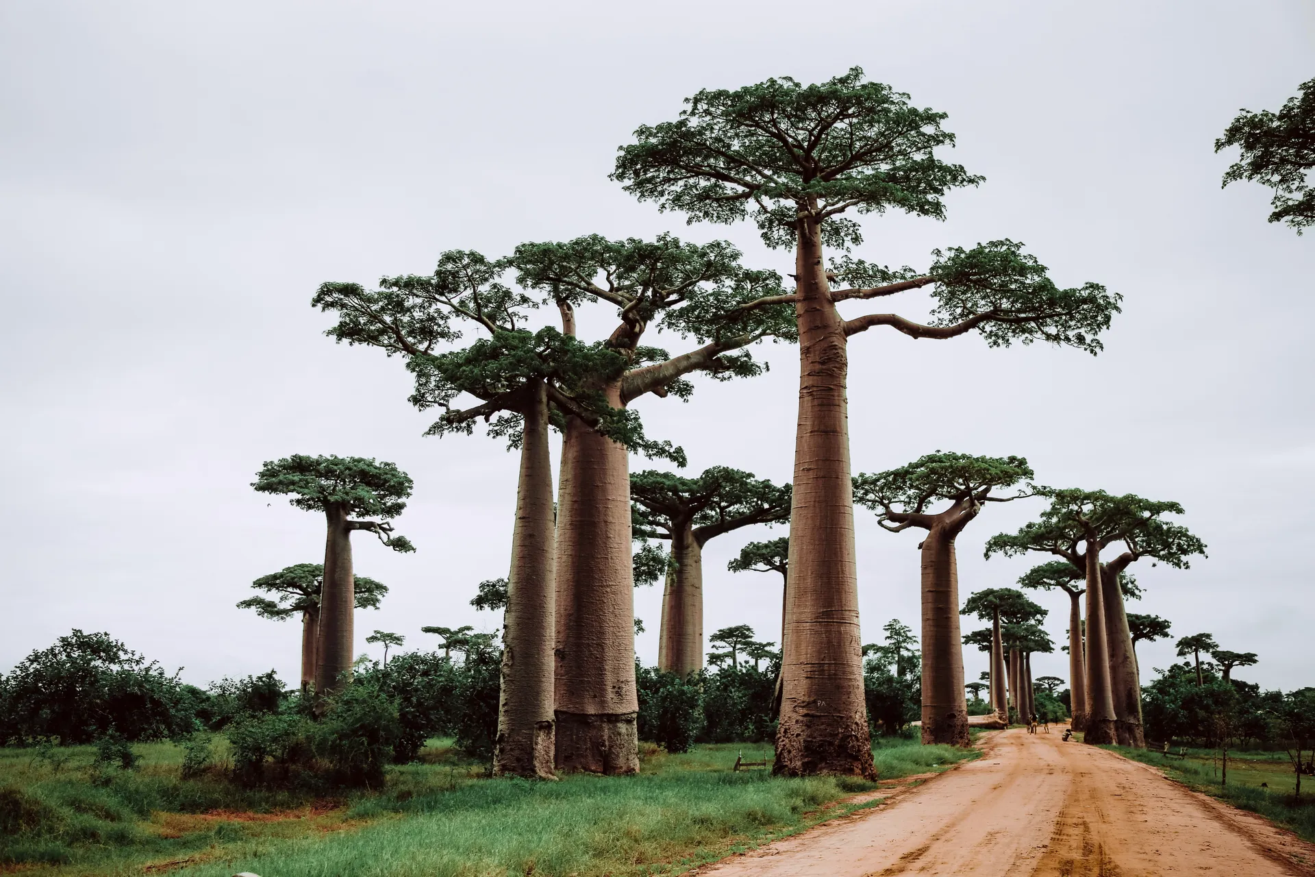 Madagaskar Packliste