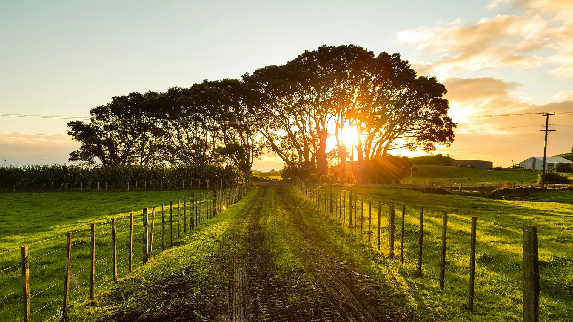 Taranaki Packliste