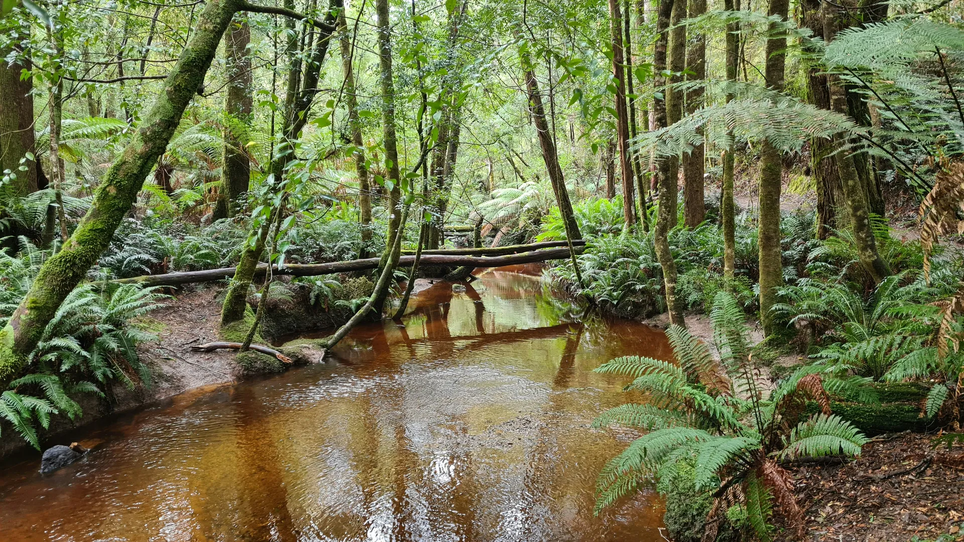 Tasmanien Packliste